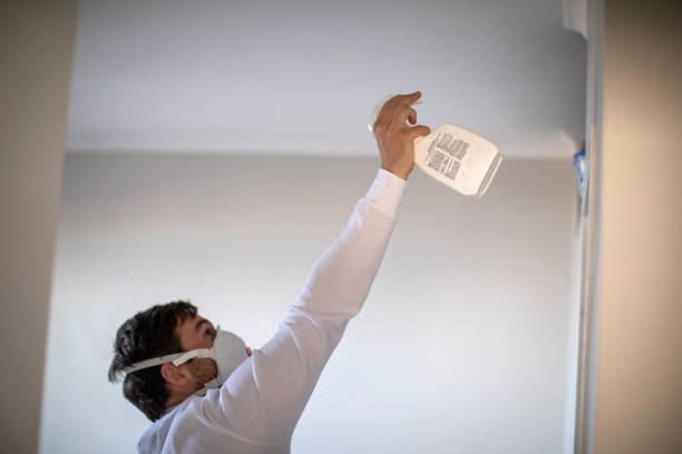 Best Professional Mold Removal  in West Portsmouth, OH